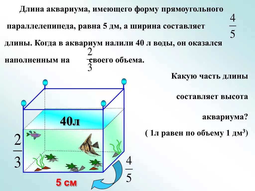 Сколько литров воды вмещается. Ширина аквариума. Аквариум прямоугольной формы. Аквариум длина ширина высота. Аквариум на 5 л длина ширина высота.