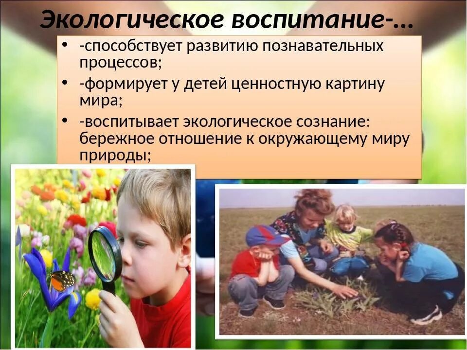 Создание условий для экологического воспитания детей. Экологическое воспитание. Экологическое образование дошкольников. Экология для дошкольников. Экологическое воспитание дошкольников.