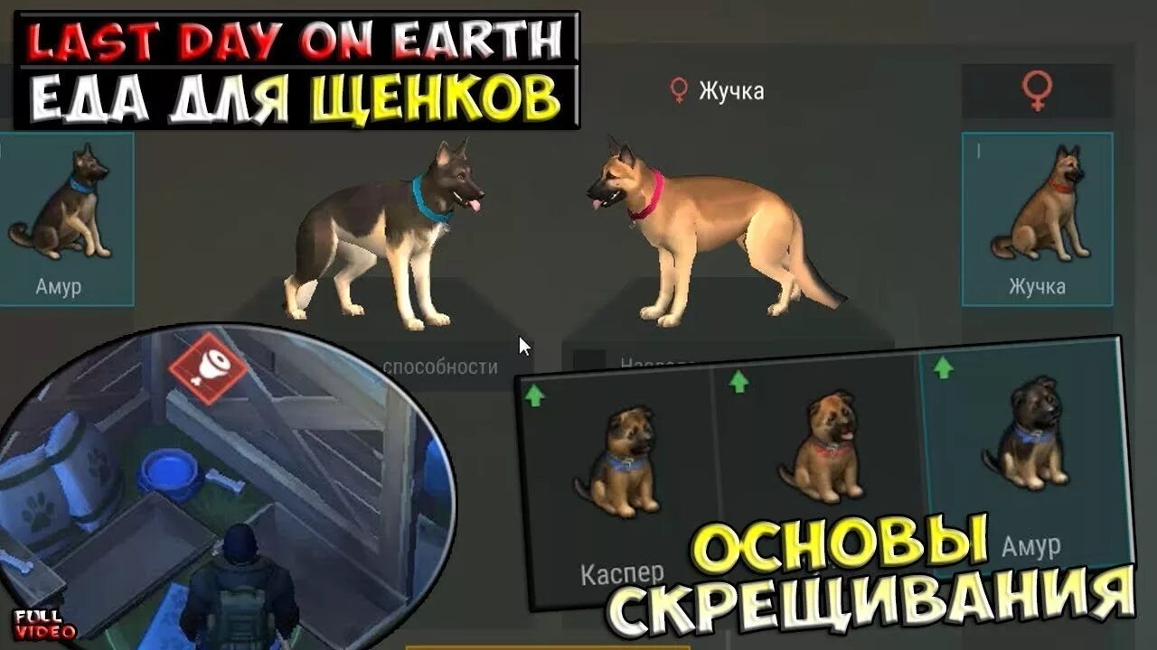 Ласт дей собаки. Last Day on Earth Survival щенок. Last Day on Earth Survival скрещивание собак. Игру last Day on Earth собаки.