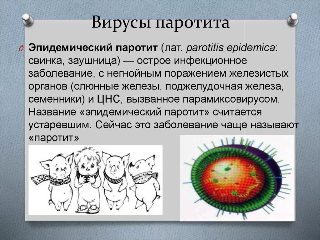 Паротит название. Вирус эпидемического паротита возбудитель. Возбудитель свинки эпидемического паротита. Вирус паротита микробиология. Возбудитель паротита микробиология.