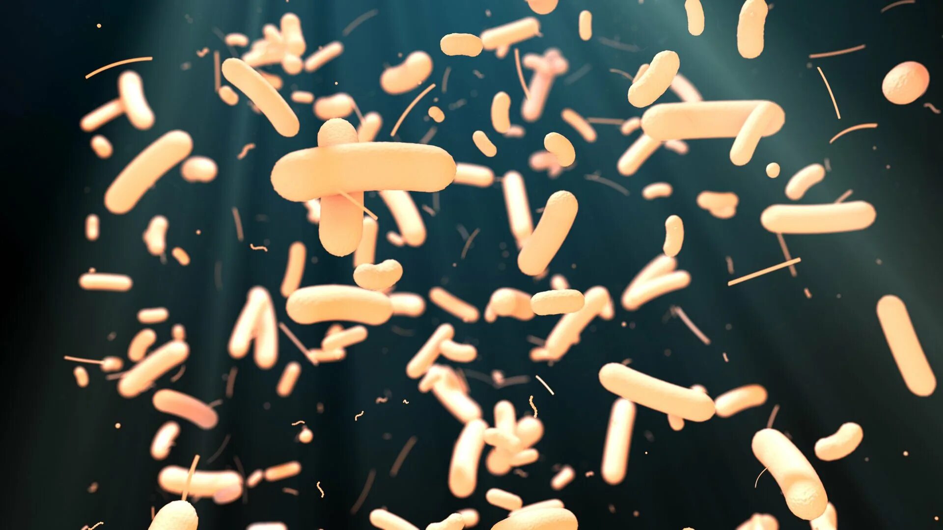 Бифидобактерии в кале. Пробиотик 10 млрд бактерий. Microbiote. Эпифитные микрофлора. Епифетные микрофлора зерно.
