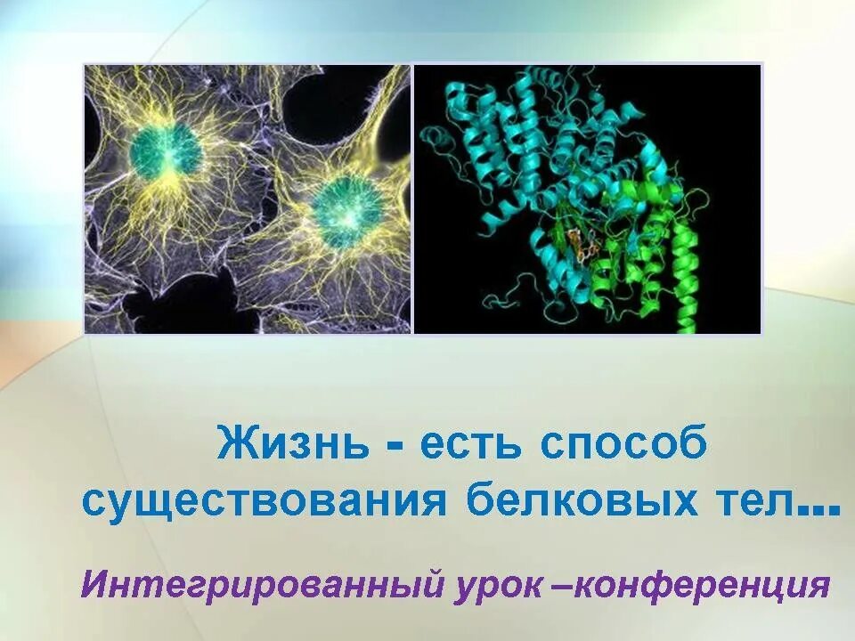 Что дает четыре свободный. Способы существования биология. Интеграционный урок химии и биологии. Основной способ существования – фотолитоавтотрофия.. Интегрированный урок по геометрии, биологии и экологии..