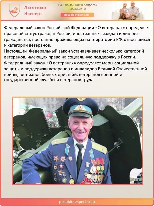 Закон о ветеранах. Статья о ветеране. Федеральный закон о ветеранах. Закон о ветеранах военной службы. Статья 3 о ветеранах боевых действий