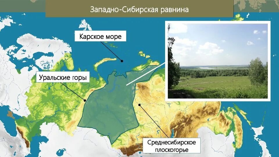 Климат западно сибирской равнины 8. Восточно-европейская и Западно-Сибирская равнины. Западно Сибирская и Восточно европейская равнины России. Восточно-европейская равнина и Западно-Сибирская равнина. Великие равнины России Восточно-европейская и Западно-Сибирская.