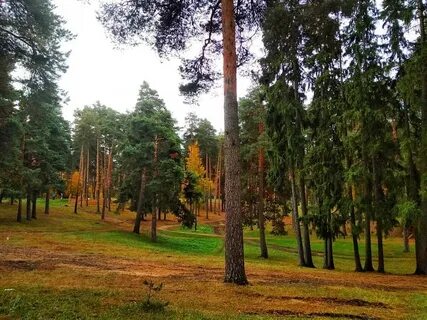 Жуковский парк