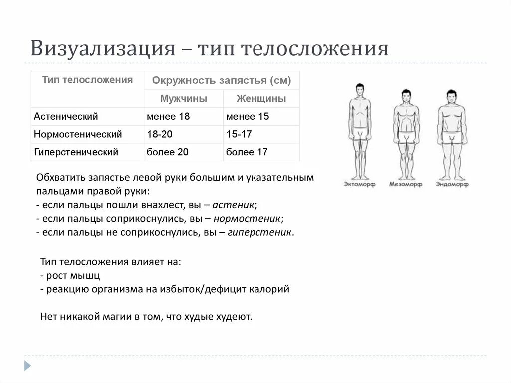 Физические данные тест. Как понять какой Тип телосложения. Как определить Тип сложения тела мужчины. Тип телосложения нормостенический мезоморф. Как понять свой Тип телосложения.