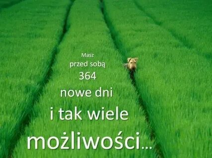К чему снится скошенная