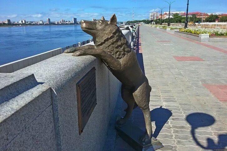 Памятник собаке в благовещенске на набережной. Памятник собаке в благовещенске на набережной. Дружок благовещенск памятник. Памятник собаке в благовещенске на набережной. Памятник собаке по кличке дружок благовещенск.