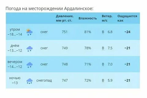 10 дней погоду шипунове