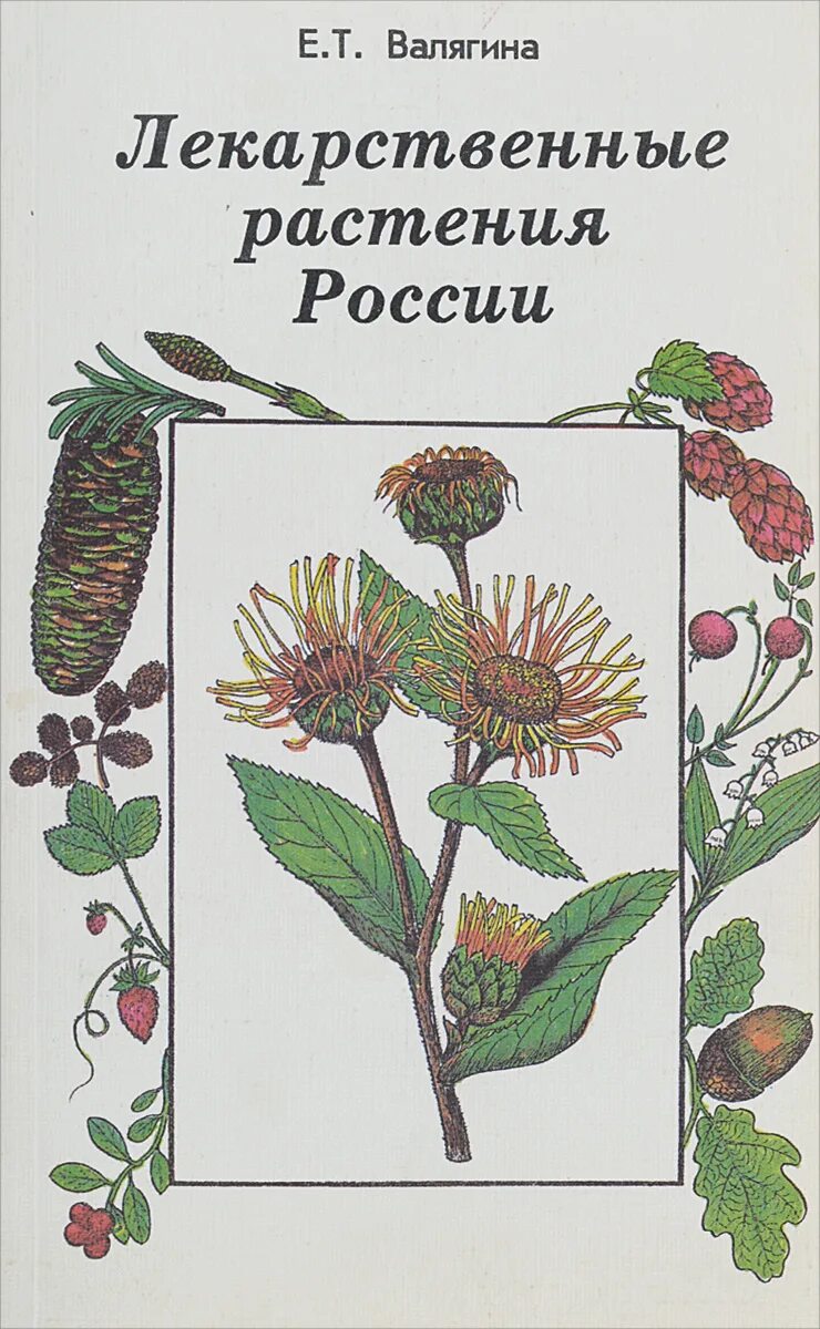 Книги про травы. Лекарственные растения книга. Лечебные травы книга. Лекарственные растения России. Лекарственные растения России книга.