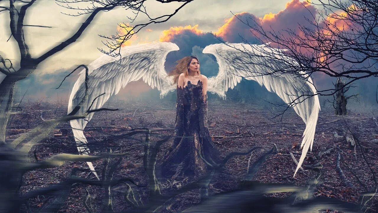 Все песни индиго. An angel was born. Born angel. Born angel. Born asleep.