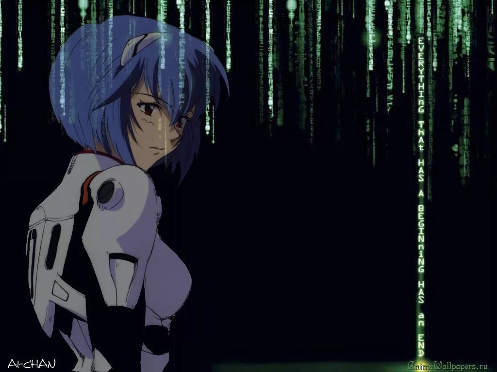 Rei 4