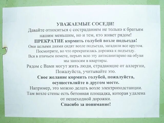 Объявление не кормить кошек в подъезде. Объявление о запрете кормления птиц. Объявление о запрете кормления голубей. Объявление не кормить птиц.