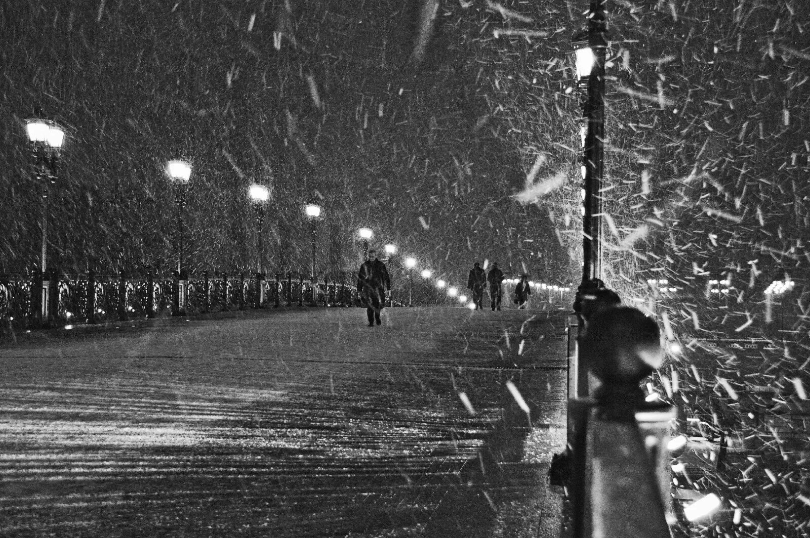 Тем кто идет по зимнему. Москва ночь метель. Черная метель. Чёрно-белые фото зима. Снежная буря черно белая.
