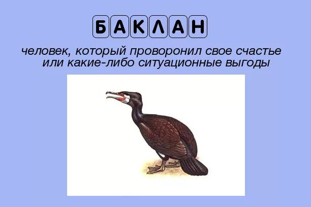 Баклан на жаргоне. Баклан на тюремном жаргоне. Кто такие бакланы на жаргоне. Баклан это жаргон кто. Бакланы текст