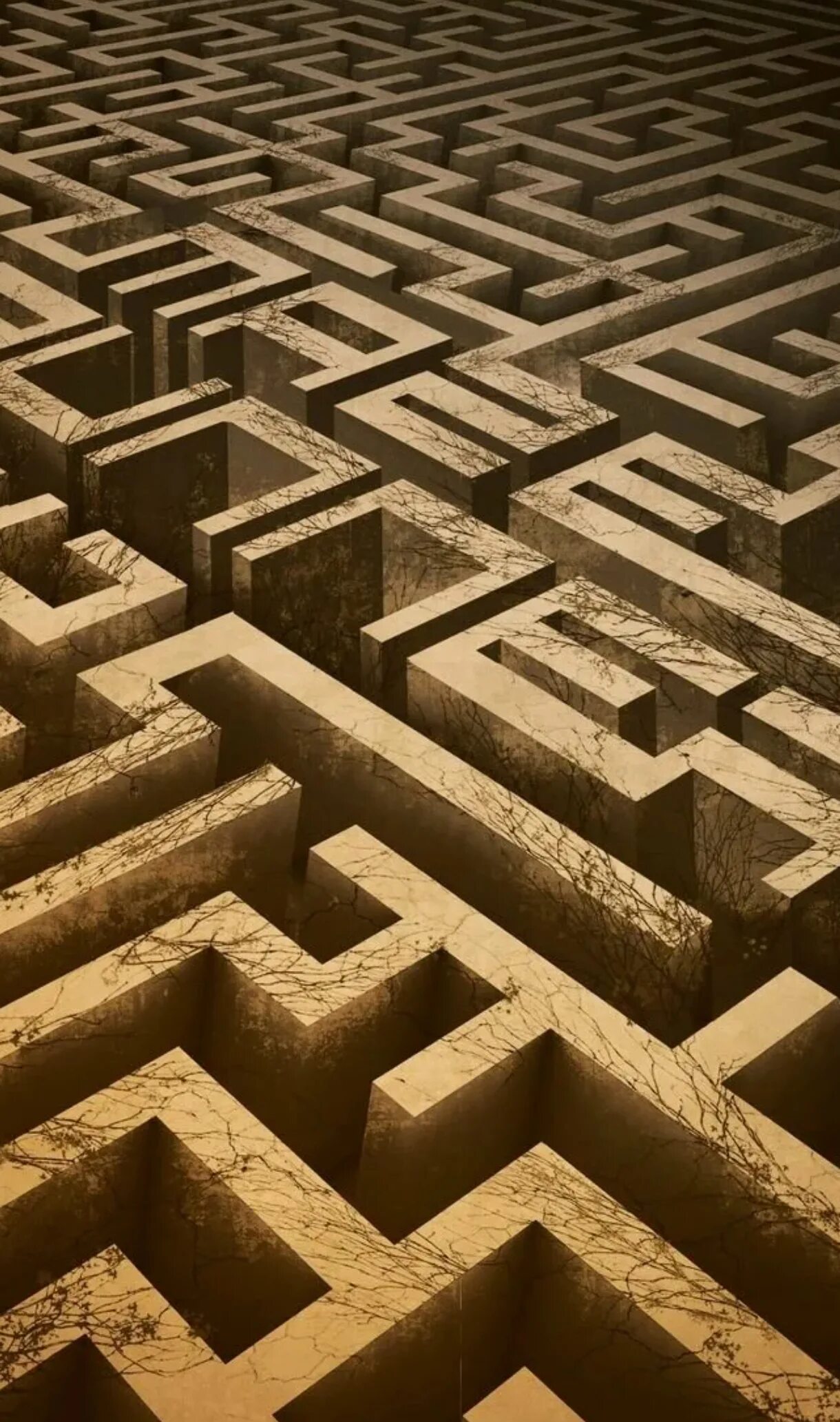Глент играет в лабиринт. Лабиринт reignac-sur-indre, франция. maze runner лабиринт. лабиринт эшера. бегущий в лабиринте лабиринт сверху.