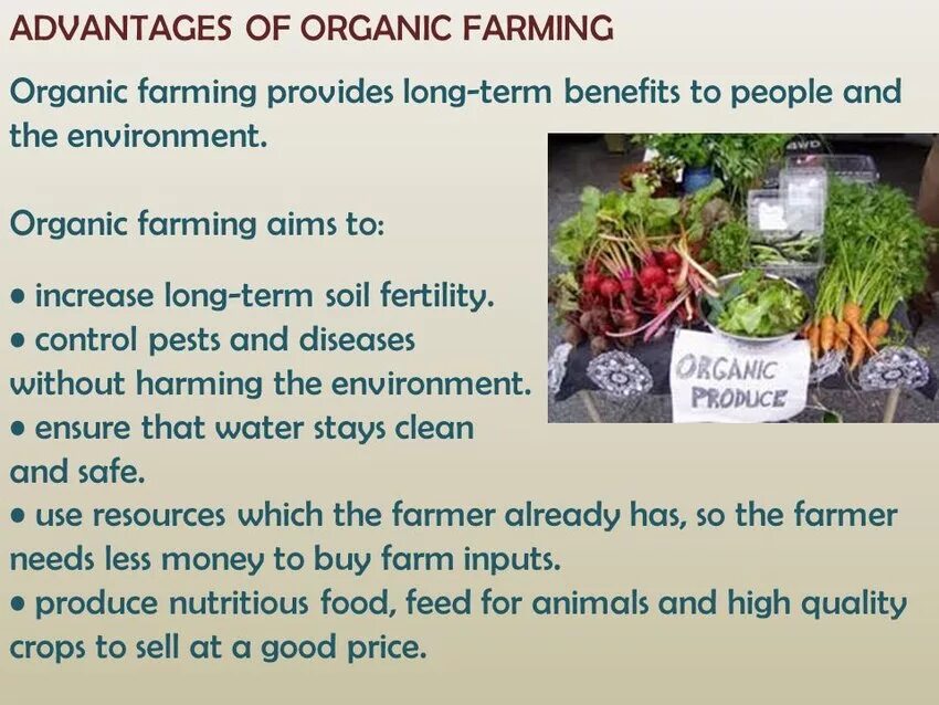 Organic farming spotlight 10. Organic farming spotlight 10. Органическое сельское хозяйство презентация по английскому. What is organic farming. Organic farming spotlight 10.