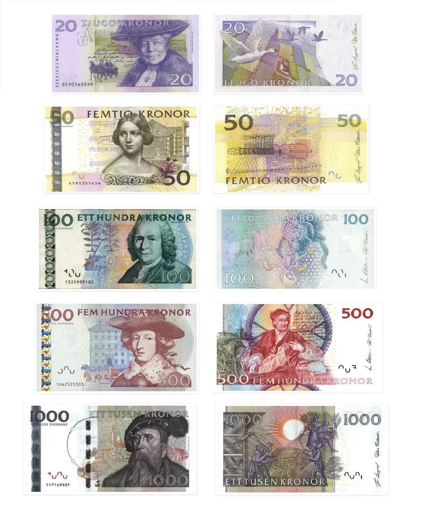 Шведская денежная единица. Крона валюта Швеции. Купюра Швеции крона. Шведская крона купюры в обращении. Денежная единица Швеции.