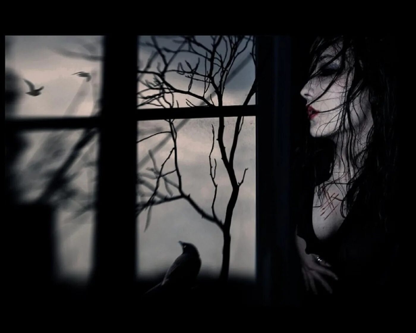 Женщина в окне. Ворон на окне. Черный ворон за окном. Печальные картины. Ворона стучит в окно