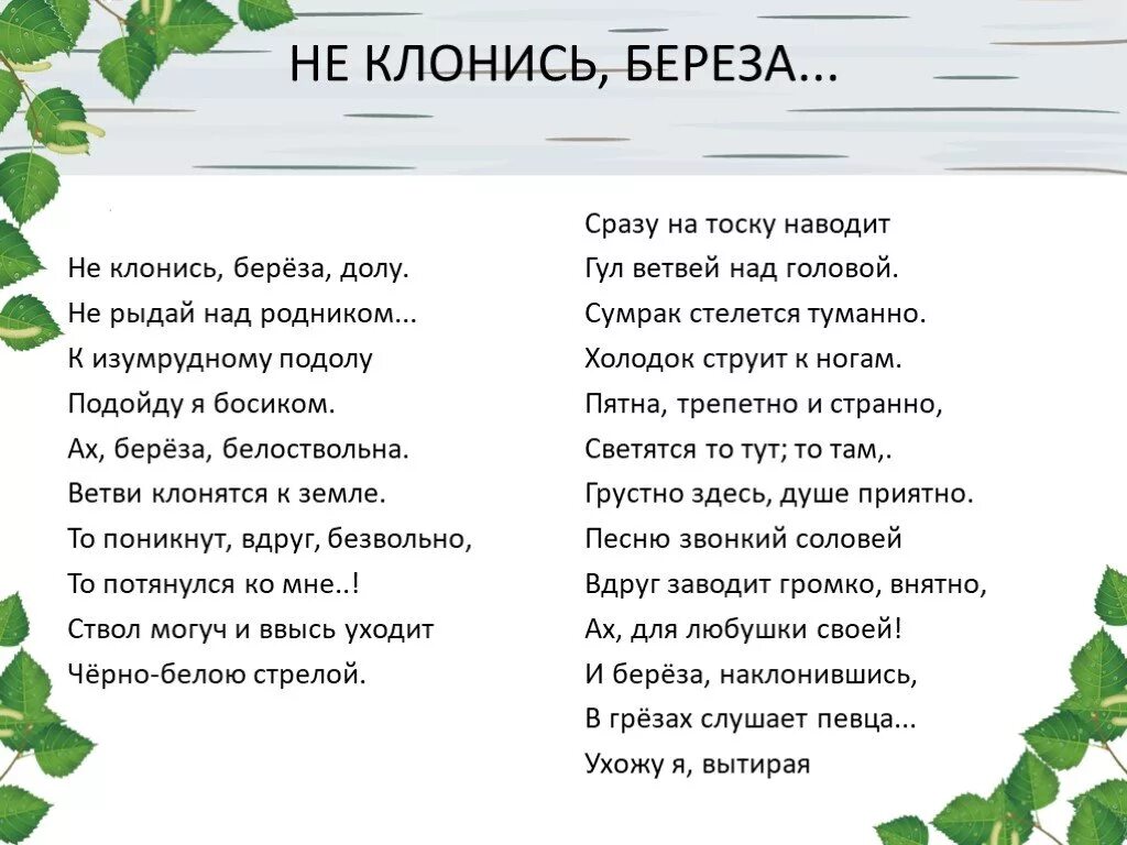 Детские песни березка