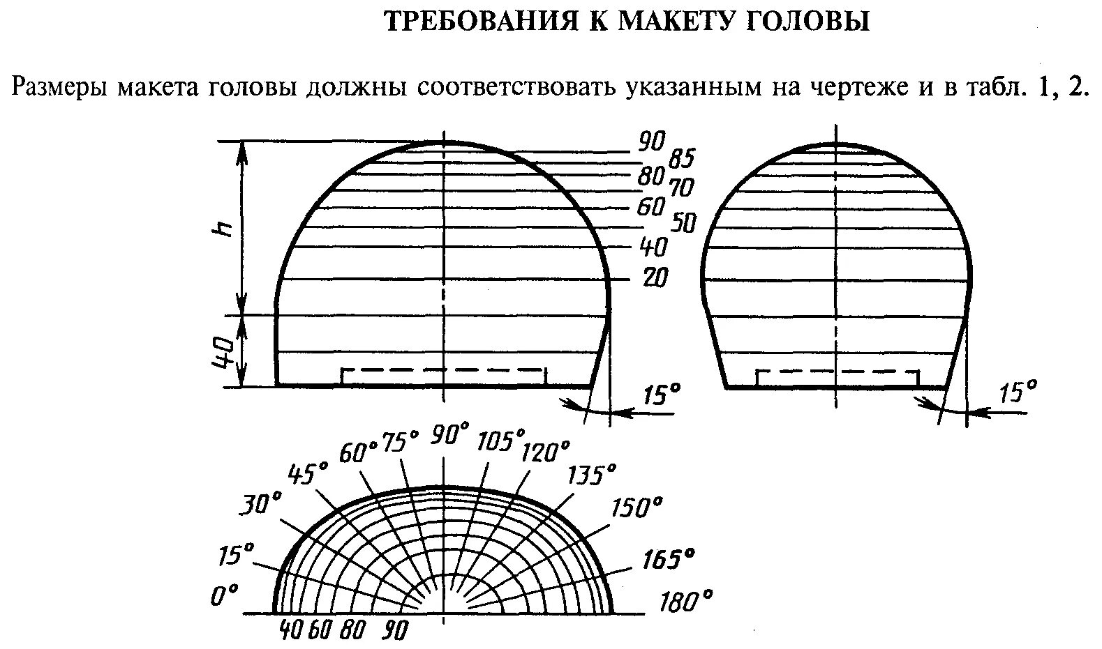 Размер головы в 2 4. Таблица масштабов в макетировании. Шапка мозг муляж из картона. ГОСТ всему голова. Муляже головы DEZEGA checkup УПДА-2.