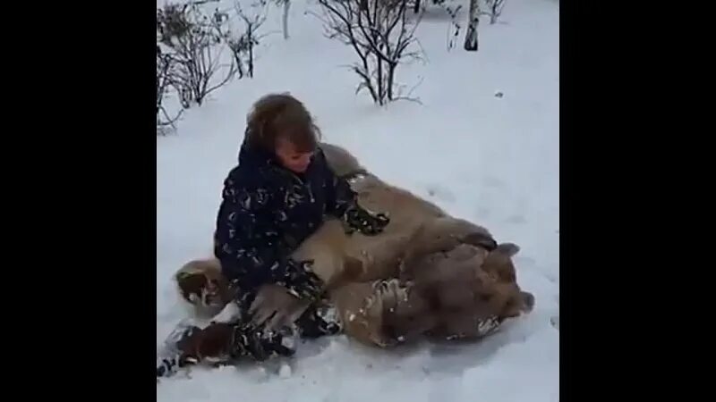 Блогерша лапа отсосала бомжу. Мужчину нашли в берлоге.