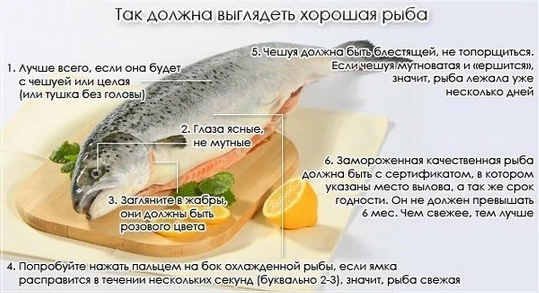 К чему снится во сне свежая рыба. Определить свежесть рыбы. Полезная рыба для похудения. Качество рыбы. Как выбрать свежую рыбу.