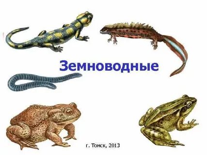 Названия примыкающих