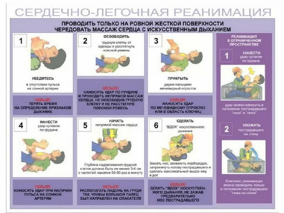 Алгоритм оказания первой помощи при сердечно-легочной реанимации. Схема проведения СЛР. 1. Алгоритм проведения сердечно-легочной реанимации.. Этапы первичной сердечно-легочной реанимации схема.