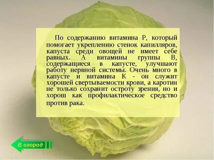 Капуста витамин c