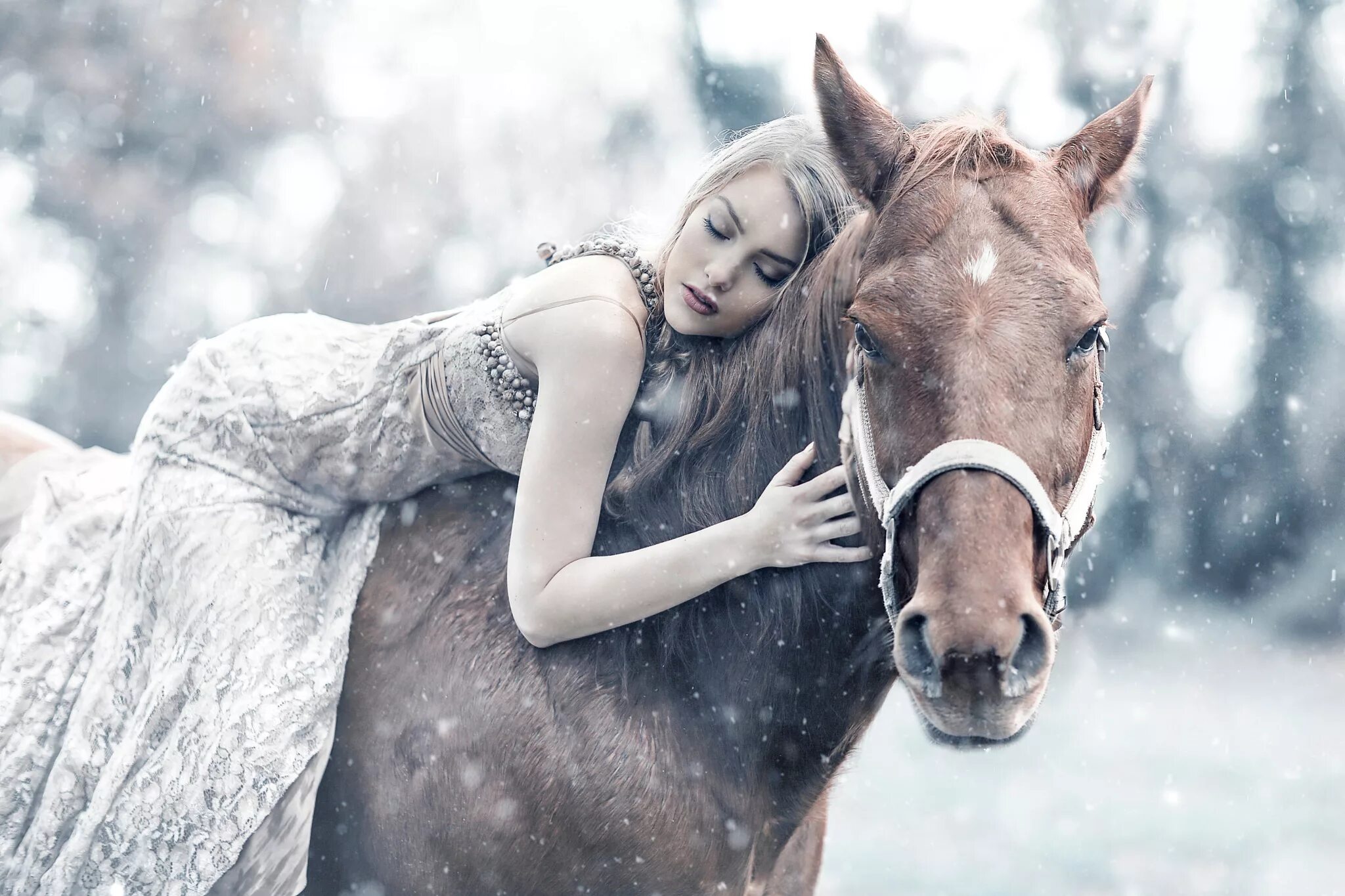 Лошади зимой. Фотосессия с лошадкой. Зимняя фотосессия с лошадью. Фотосессия с лошадью зимой.