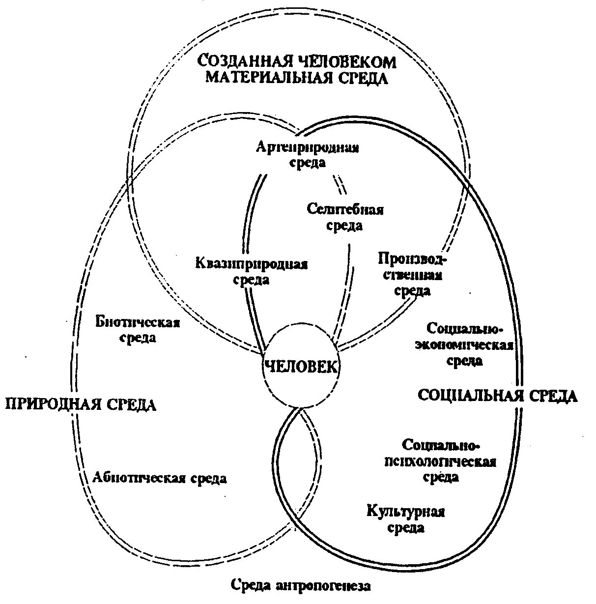 Составные части среды человека (по т. а. Акимовой, в. в. Хаскину, 1994). Схема человек окружающая среда. Составные части среды обитания человека. Схема система человек окружающая среда.