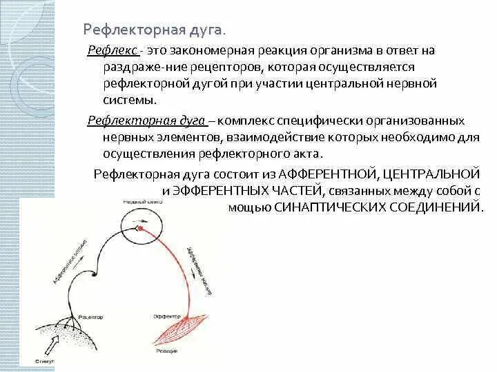 Рефлекторная дуга рвотного рефлекса схема. Рефлекторная дуга рвоты схема. Рефлекторный путь рвотного рефлекса схема. Рефлекторная дуга лифтного рефлекса.