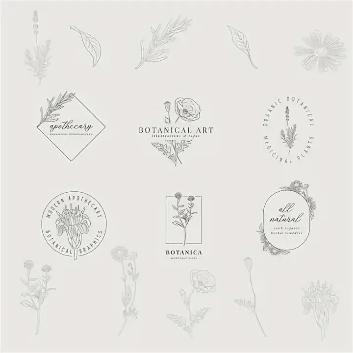 Botanist vi: Flora. Line handdraw Botanic logo.