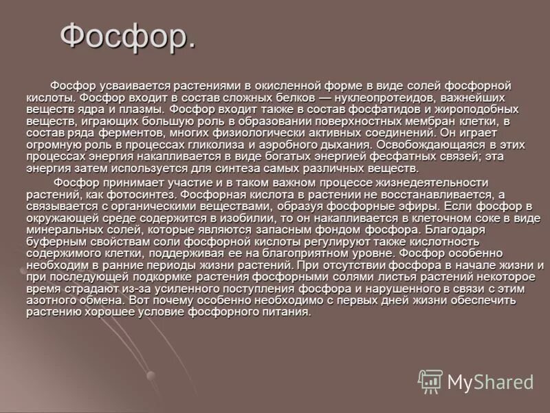 Фосфор в жизни растений. Фосфор для растений. Фосфор для растений для чего. Фосфор для растений значение. Роль фосфора в жизни растений.
