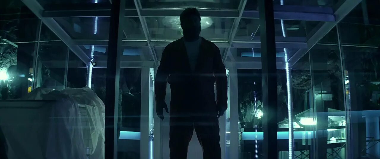 лихорадка 3