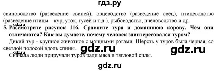 История 5 класс 2 часть параграф 47