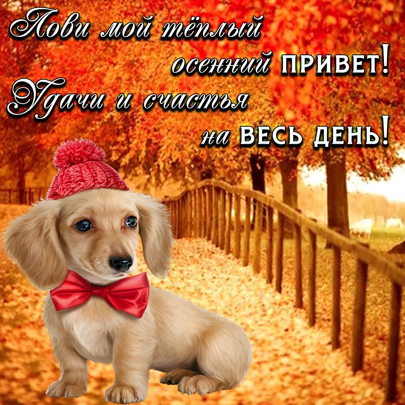 Свете хорошего дня