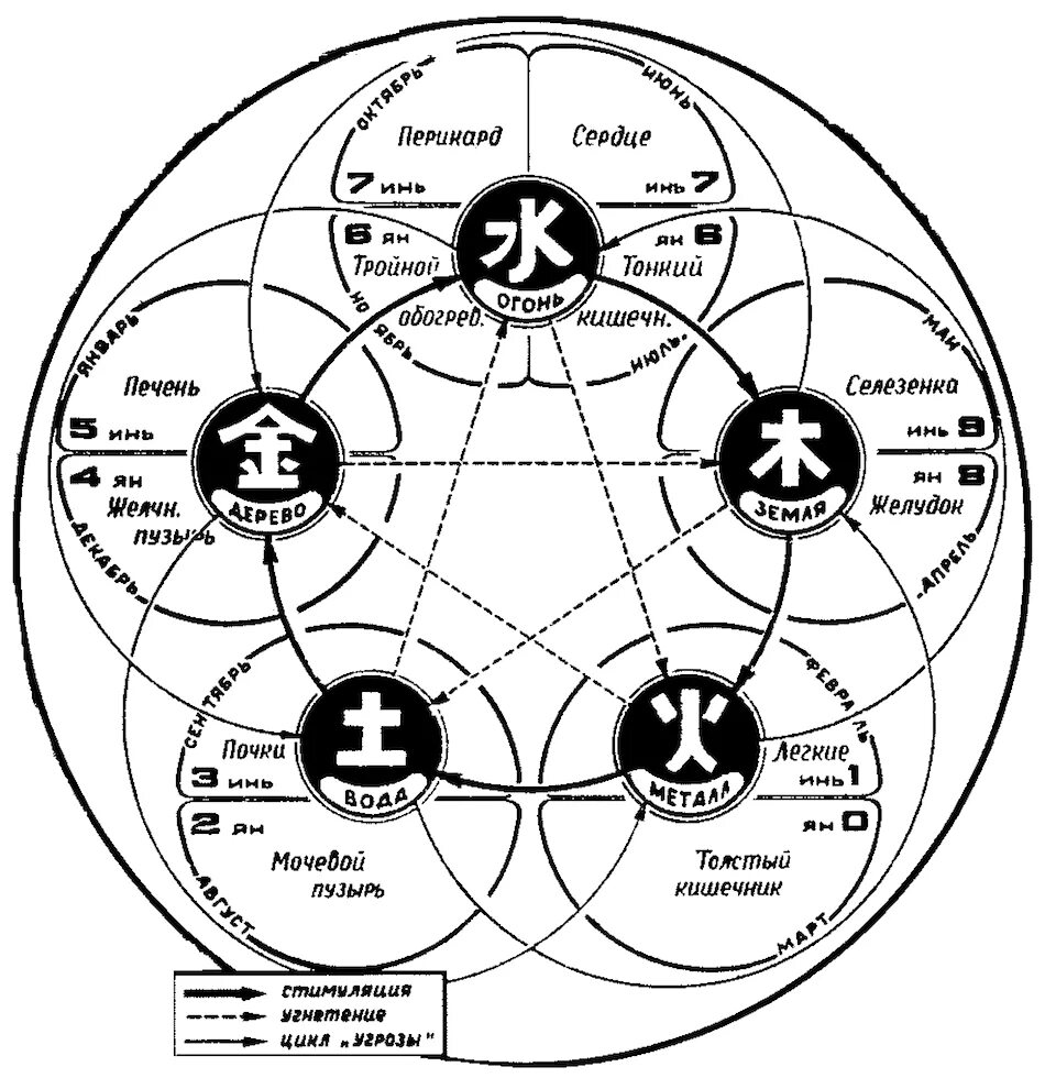 Китайская медицина органы. Система 5 элементов у-син. Концепция у-син 5 первоэлементов. Теория у син пяти элементов. Схема у-син пять первоэлементов.