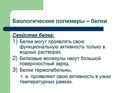 Белка свойства животного