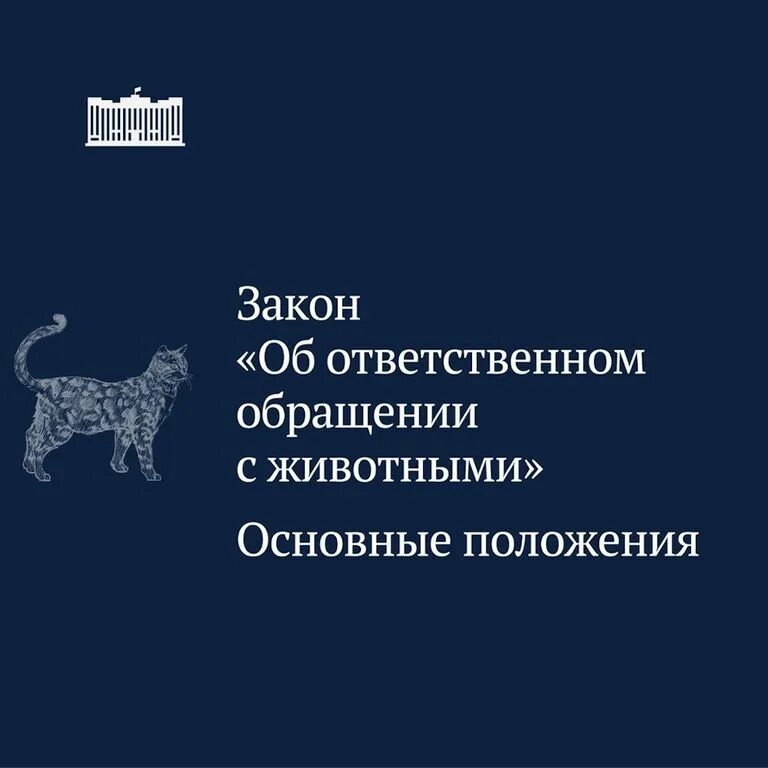 498 фз изменения 2023. Ответственное обращение с животными. Закон об обращении с животными. Федеральный закон об ответственном обращении с животными. Федеральный закон о защите животных.