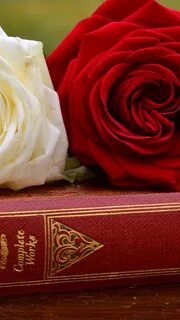 Цветок розы книга