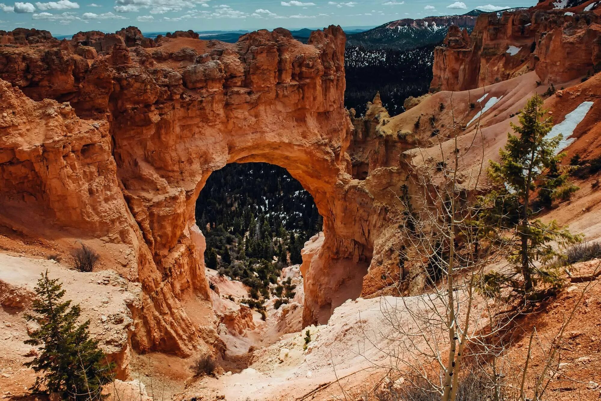 National park usa. Национальный парк Брайс каньон в штате. Национальный парк Брайс-каньон, Юта, США. Національний парк Брайс каньйон, Юта.. Штат Юта каньоны.