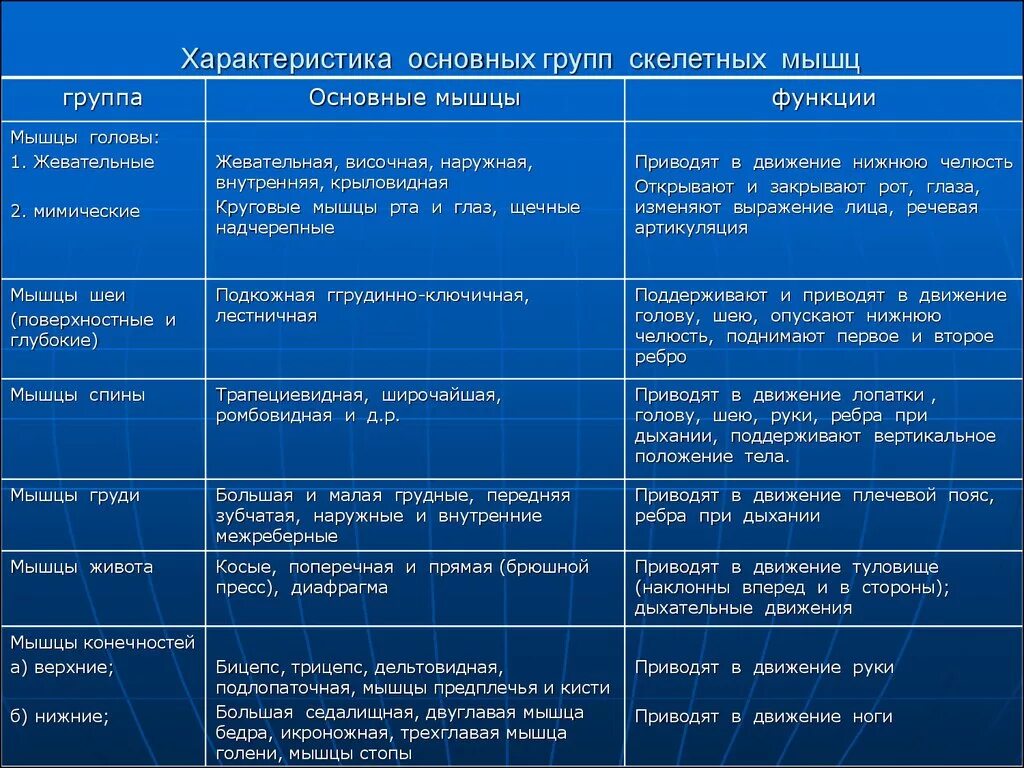 Назовите функции мышц