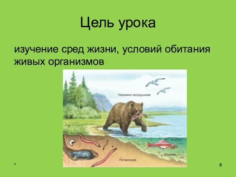 Жизнь организмов на планете земля 5. Среды жизни планеты земля. Среды обитания живых организмов. Среда обитания живых организмов рисунок. Среды жизни организмов.