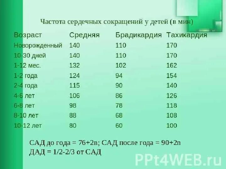 Сердцебиение у новорожденного. Ребенок 2 года ЧСС И ЧДД. ЧСС ЧДД ад норма у детей по возрастам. ЧСС 3 года норма у детей. Частота сердечных сокращений у детей 6 лет норма.