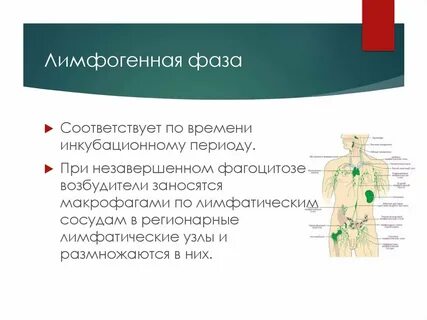 Инкубационный период бруцеллеза