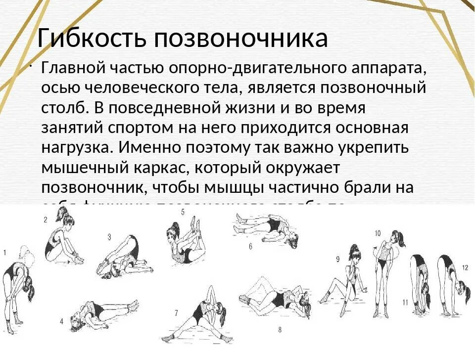 Какие упражнения можно использовать для развития гибкости. Средства развития гибкости схема. упражнения для развития гибкости. упражнения на гибкость по физкультуре. презентация на тему гибкость.
