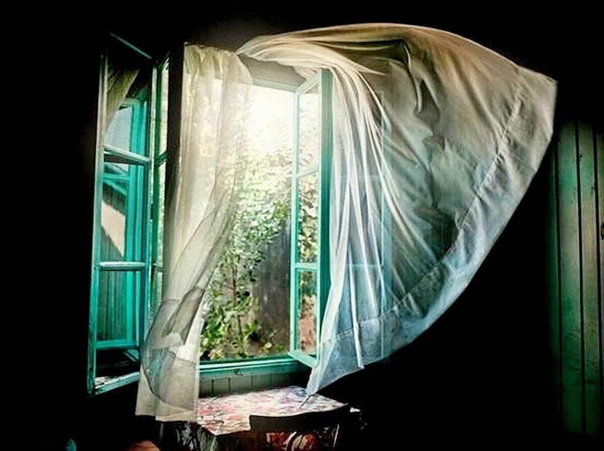 Открытое окно. Занавески на окна. Окно с занавесками старые. Открытое окно с занавесками.
