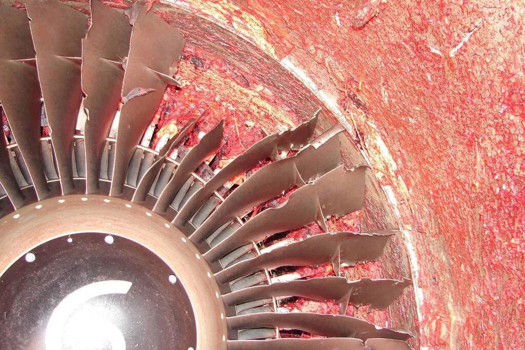 мужчину засосало в турбину самолета. мужчину засосало в турбину самолета. затянуло в турбину самолета. попал в турбину самолета. человека засосало в турбину самолета.